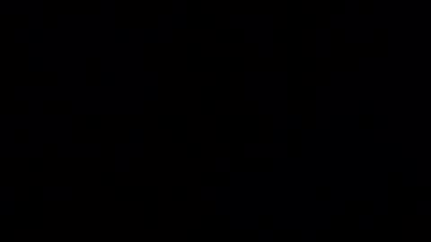 Haven online show from January 2025 12:56:01 PM