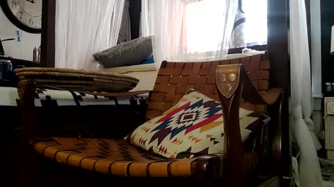 Haven online show from March 2025 02:40:02 PM