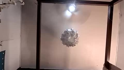 Haven online show from March 2026 04:56:01 PM