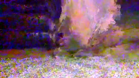 naughty__hotty online show from March 2026 07:25:02 AM