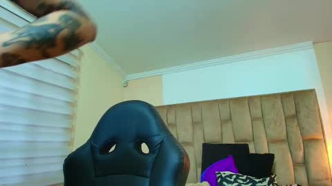 Kitten online show from March 2026 11:16:02 AM