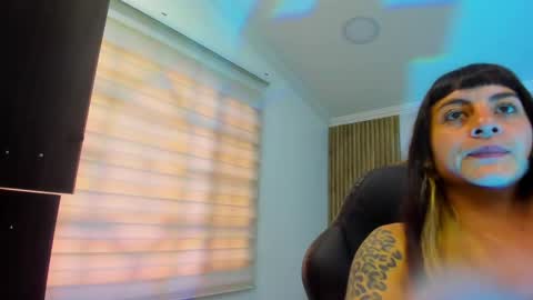 Kitten online show from May 2026 11:04:02 AM