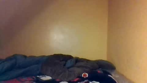 Snapshot of naughtyaura_ebony chatting on April 2026 08:39:01 PM Bree doll online show from April 2026 08:39:01 PM