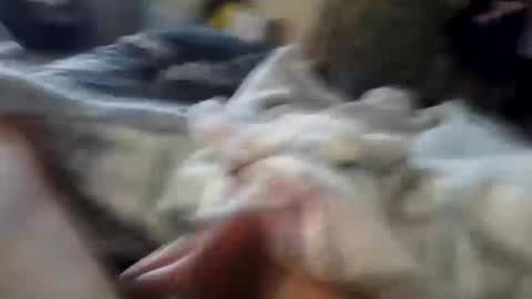 Snapshot of naughtyfelons6969 chatting on October 2025 09:07:02 AM naughtyfelons6969 online show from October 2025 09:07:02 AM