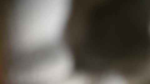 Liz online show from December 2024 12:08:02 PM