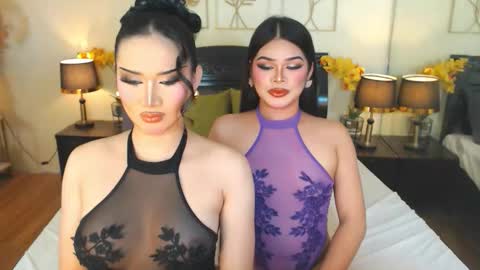 F R A N Z I A online show from November 2025 05:07:01 PM