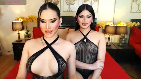 F R A N Z I A online show from February 2026 08:27:02 PM