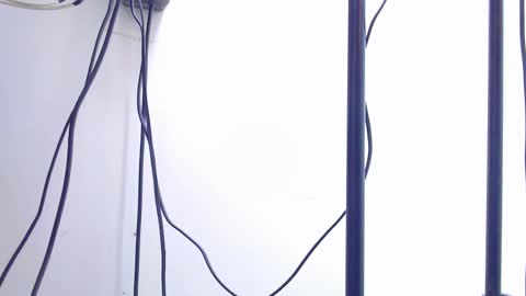 NAZPER online show from February 2026 10:37:02 AM