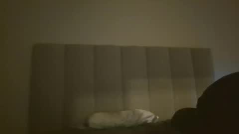 Snapshot of nchastain74 chatting on January 2025 12:13:02 PM wetnikki6590 online show from January 2025 12:13:02 PM