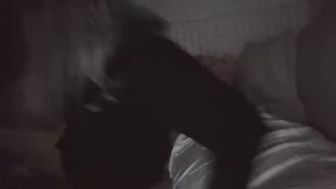 Snapshot of nchastain74 chatting on January 2025 06:03:01 AM wetnikki6590 online show from January 2025 06:03:01 AM