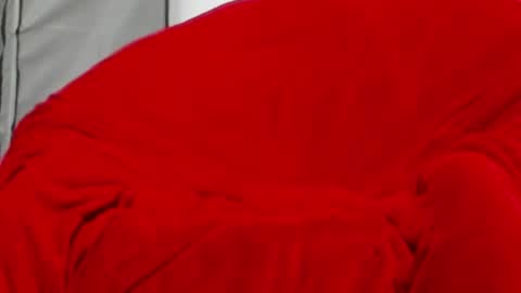 neccesitysexxxxx online show from June 2026 07:48:01 PM