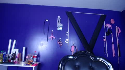 Snapshot of nectarshop chatting on December 2024 01:39:01 PM Camille online show from December 2024 01:39:01 PM