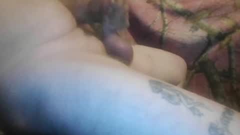 ned is naughty online show from February 2026 08:31:01 AM