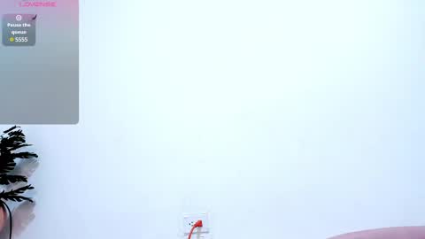 Nery online show from February 2025 06:37:02 PM