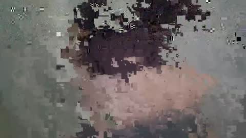 Anastasia online show from March 2026 02:53:02 PM