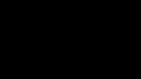 never_forget_this online show from April 2026 07:48:01 PM