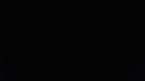 Lilly  online show from February 2025 04:21:01 PM