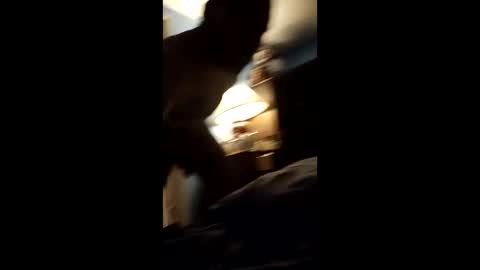 Snapshot of newfun147442 chatting on February 2026 07:12:01 AM newfun147442 online show from February 2026 07:12:01 AM