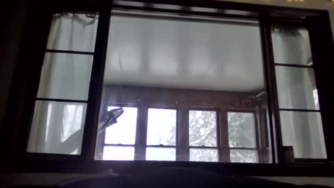 Snapshot of newguy81240 chatting on January 2025 03:54:02 PM Newguy81240 online show from January 2025 03:54:02 PM