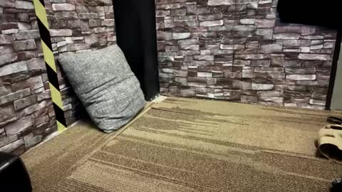 newzex66 online show from January 2025 12:09:01 PM