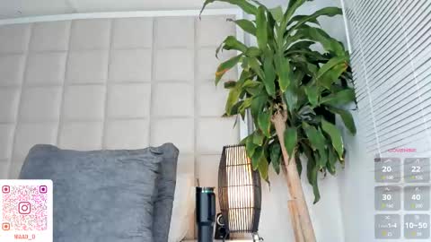 Nia online show from March 2025 04:56:02 PM