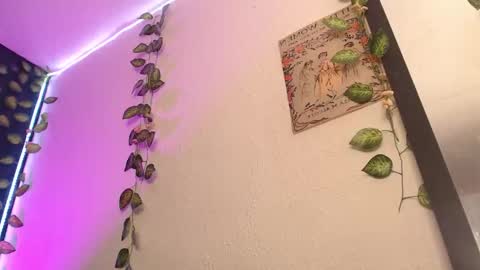  niakat  online show from March 2026 03:22:02 AM