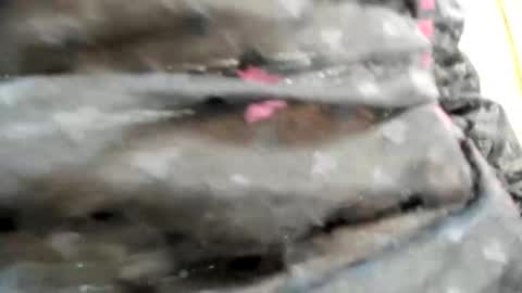 Snapshot of nicesweetwap chatting on October 2025 09:31:02 PM Bianca online show from October 2025 09:31:02 PM