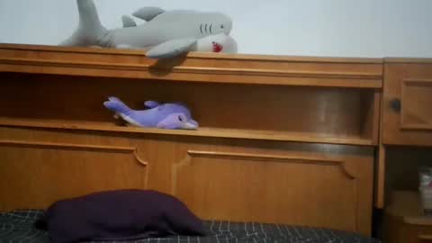 Nicholle online show from July 2026 08:52:01 PM