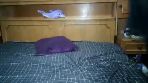 Nicholle online show from July 2026 10:57:02 PM