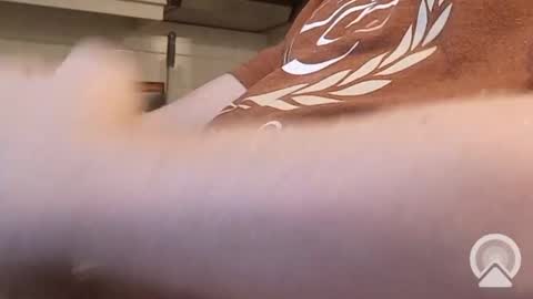 nick_x_b online show from December 2024 05:19:01 PM