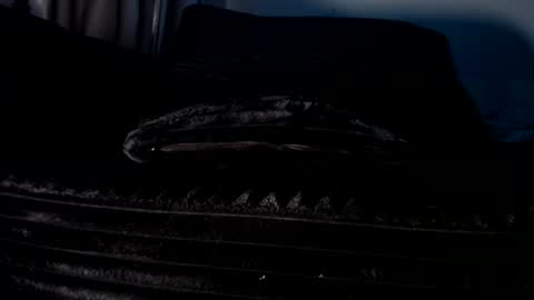 Cakedcouple  OF - Yourtattedcutie  qurlynfit online show from September 2025 06:20:01 PM