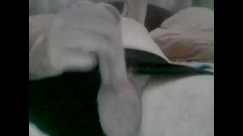 TheCock online show from October 2025 05:19:01 AM