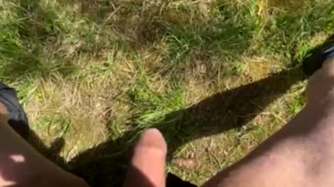 nicle12 online show from May 2026 10:09:01 AM