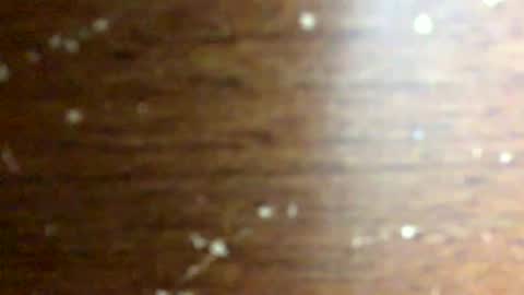 Snapshot of nightmoves1970 chatting on February 2026 03:46:02 AM nightmoves1970 online show from February 2026 03:46:02 AM