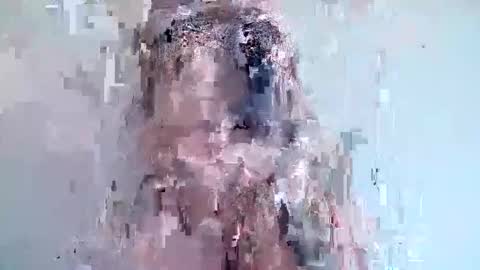 Snapshot of niki_wood_1 chatting on November 2025 05:04:01 PM niki_wood_1 online show from November 2025 05:04:01 PM