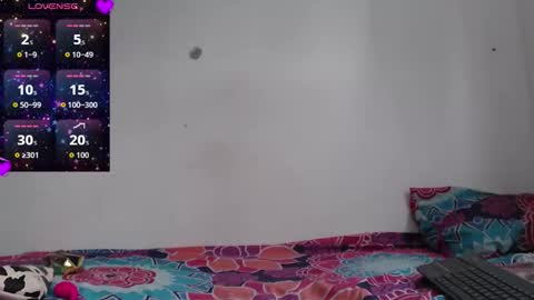 Snapshot of nikki_uwu chatting on December 2025 08:02:01 PM nikki_uwu online show from December 2025 08:02:01 PM