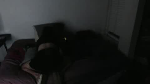 Snapshot of nikkigamer chatting on November 2025 11:47:02 AM nikkigamer online show from November 2025 11:47:02 AM