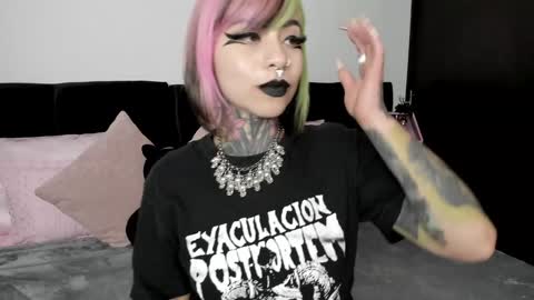 Snapshot of nikkiramone chatting on January 2025 11:48:01 AM Nikki Ramone online show from January 2025 11:48:01 AM