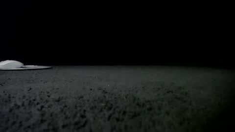 Niquita Sparkles online show from January 2025 09:49:02 AM