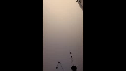 Snapshot of niko1112 chatting on January 2026 12:14:02 AM neighbours online show from January 2026 12:14:02 AM