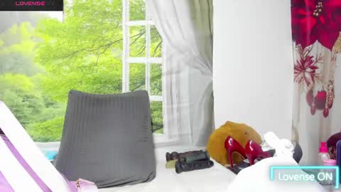 dayan online show from June 2026 10:30:02 AM