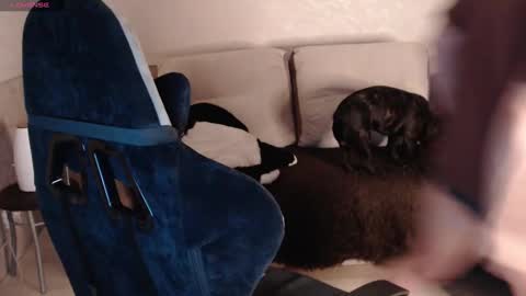 Snapshot of nikolos_vise chatting on January 2025 09:28:01 PM Nikolos online show from January 2025 09:28:01 PM