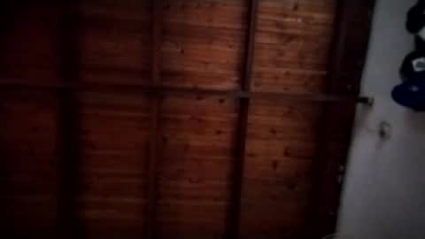 nimapolo online show from November 2025 10:30:01 PM