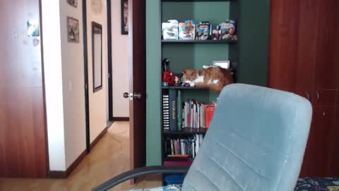 Nina Moon online show from December 2025 08:07:02 PM