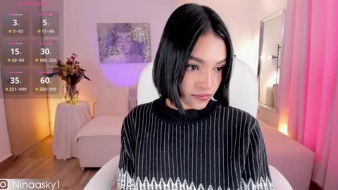 Snapshot of ninaa_sky chatting on January 2025 01:53:01 PM online show from January 2025 01:53:01 PM