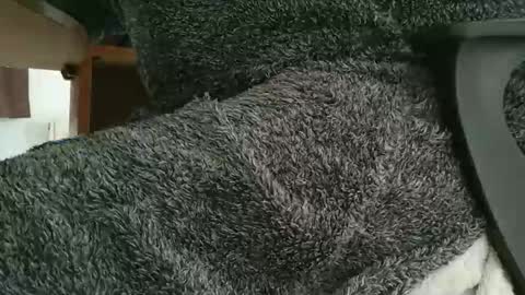 nineinchhard online show from September 2025 10:53:02 AM