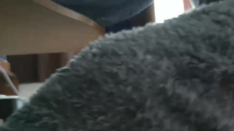 nineinchhard online show from October 2025 09:43:01 AM