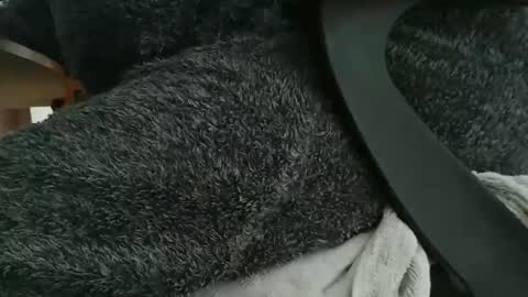 nineinchhard online show from October 2025 10:26:01 AM