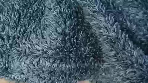 nineinchhard online show from February 2026 10:55:02 AM