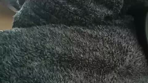 nineinchhard online show from April 2026 10:38:01 AM